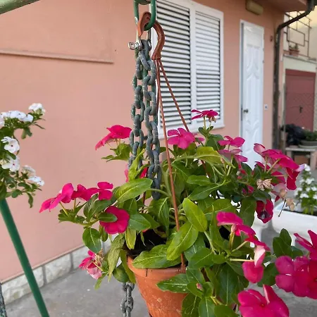 Dei Colori Appartement *